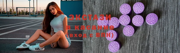 СК Краснослободск